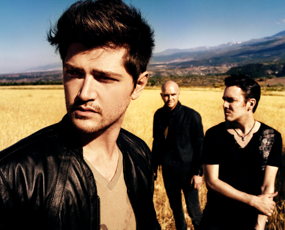 The Script