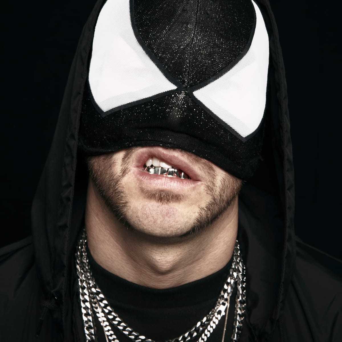 The Bloody Beetroots